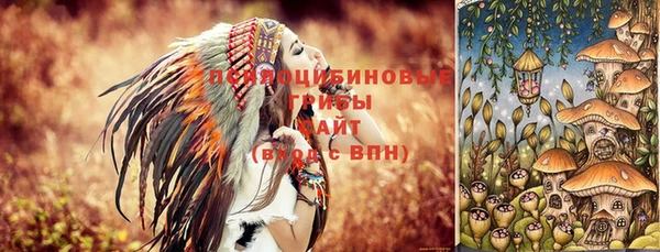 первитин Михайлов