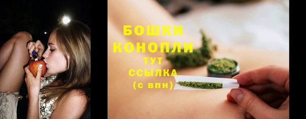 сатива Абдулино
