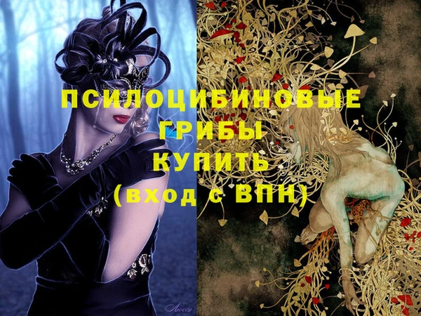 бошки Абаза