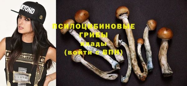 бошки Абаза